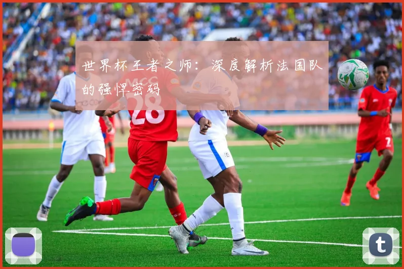 世界杯王者之师：深度解析法国队的强悍密码
