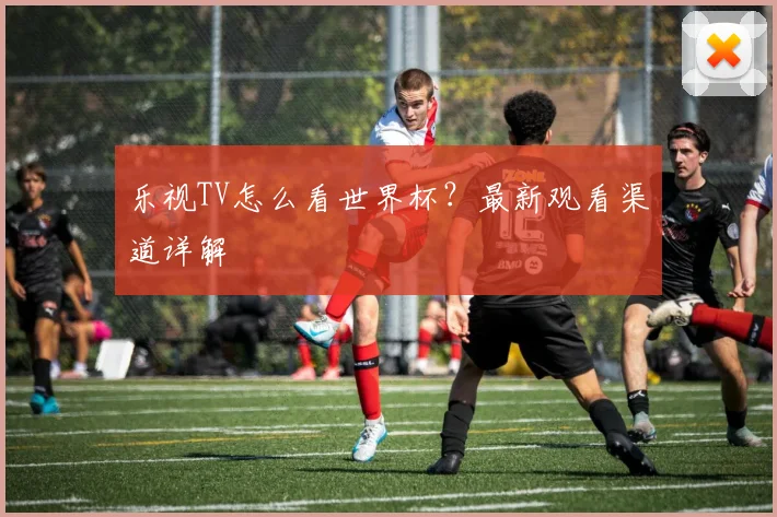 乐视TV怎么看世界杯？最新观看渠道详解