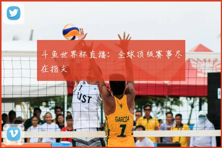 斗鱼世界杯直播：全球顶级赛事尽在指尖