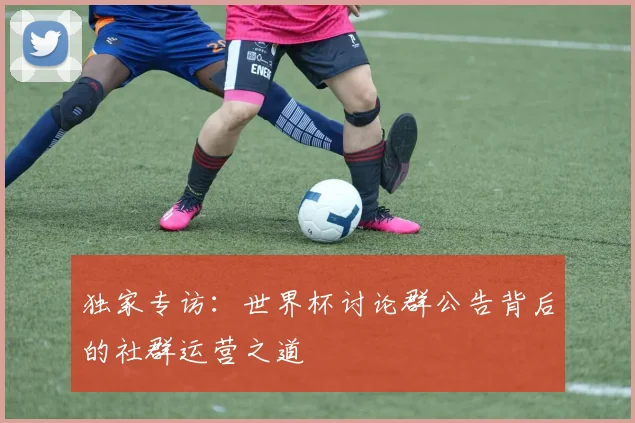 独家专访：世界杯讨论群公告背后的社群运营之道