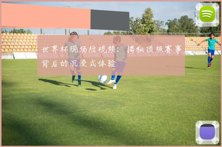 世界杯现场短视频:揭秘顶级赛事背后的沉浸式体验