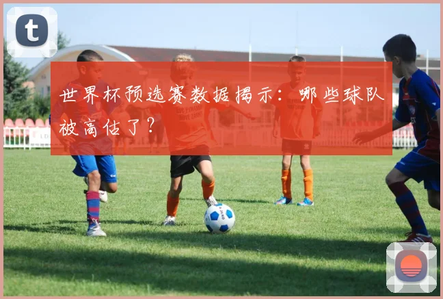 世界杯预选赛数据揭示：哪些球队被高估了？