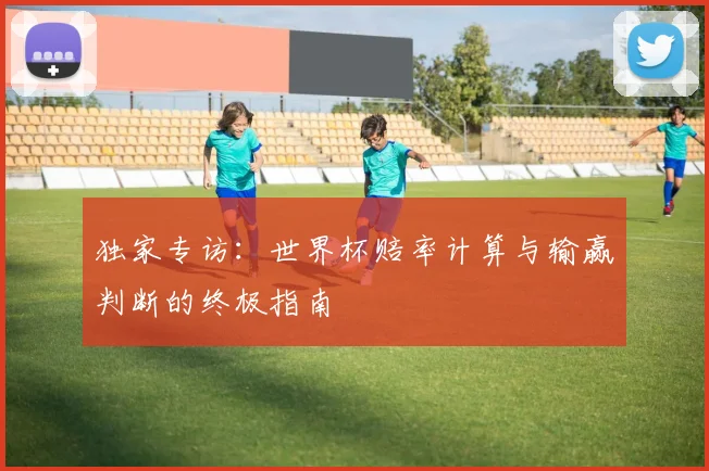 独家专访:世界杯赔率计算与输赢判断的终极指南
