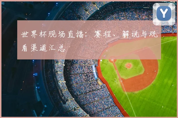 世界杯现场直播：赛程、解说与观看渠道汇总