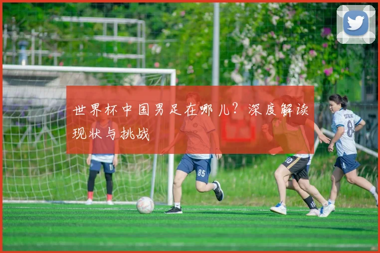 世界杯中国男足在哪儿？深度解读现状与挑战