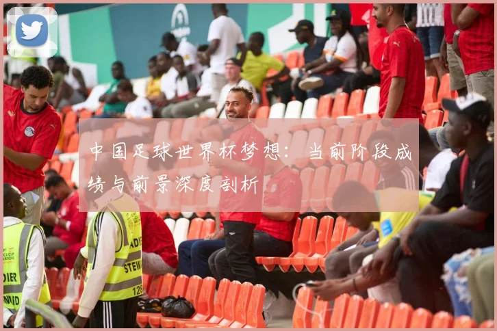 中国足球世界杯梦想：当前阶段成绩与前景深度剖析